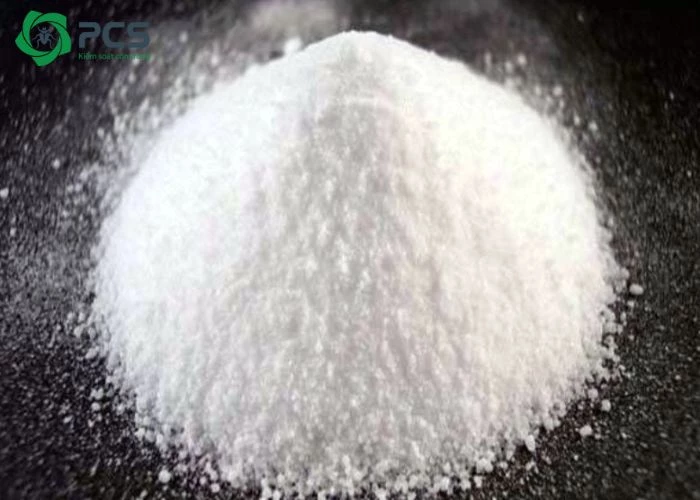 diệt kiến trong vườn